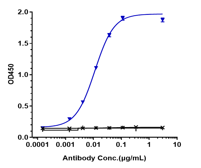 WB - Anti-FOLR1 / FRA Reference Antibody (mirvetuximab) APR10114